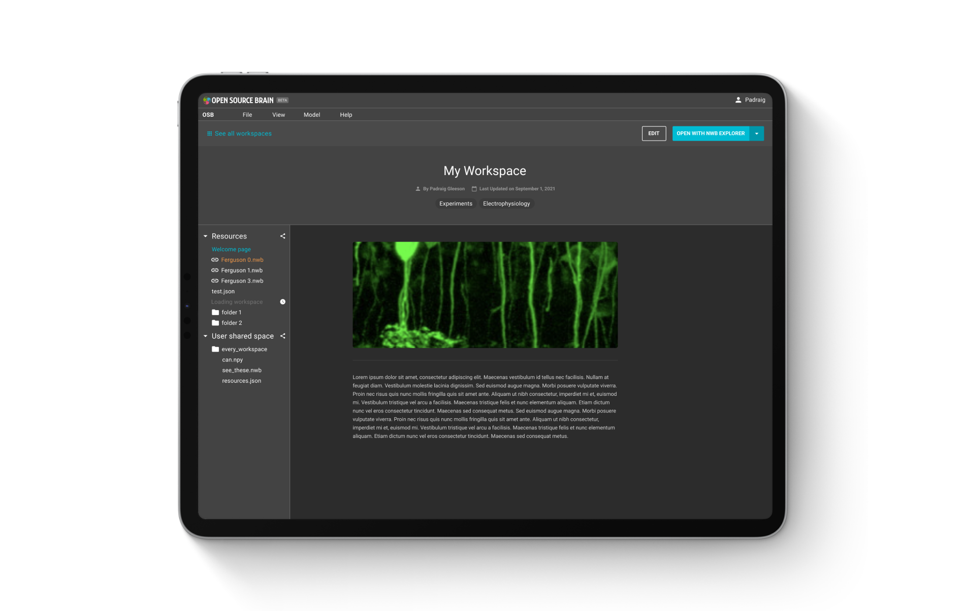 Paper: Open Source Brain | MetaCell Articles