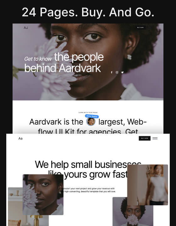 Aardvark - New Small Business Webflow Template
