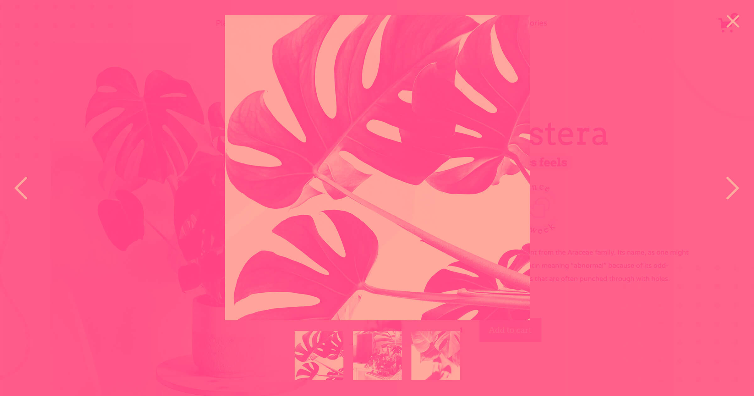 How to come up with a brand name: The ultimate guide