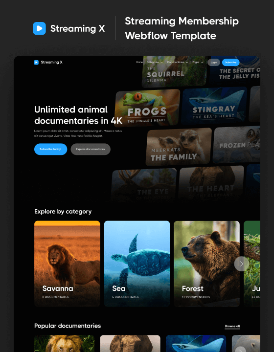 Streaming X - New App Webflow Template
