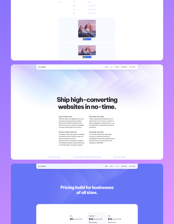 Norman - New Startup Webflow Template