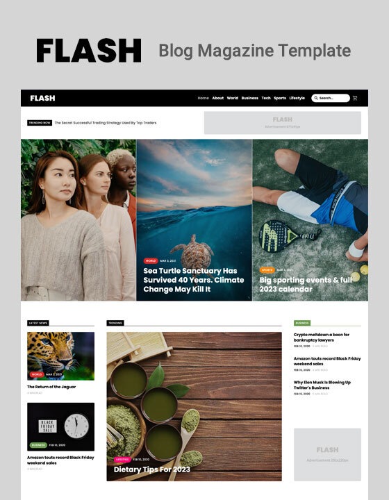 Flash - New News Webflow Template