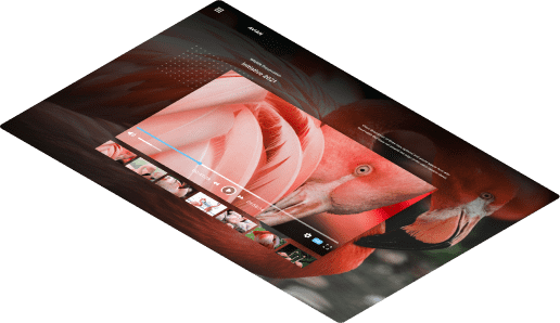 Create Branded Presentations