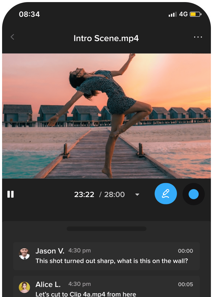 Video review collaboration tool