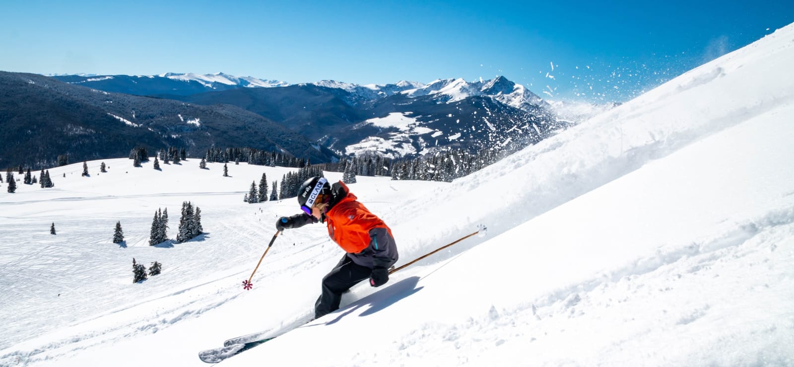 Skiing - Video Analytics Software