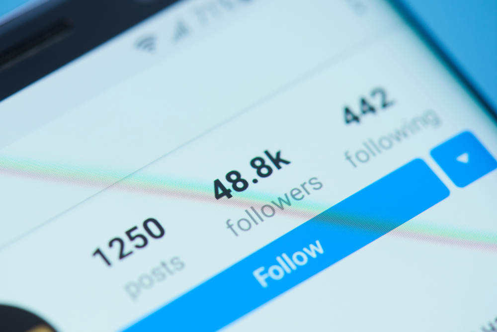 Close up of Instagram profile showing 1250 posts, 48.8k followers, and 442 following.