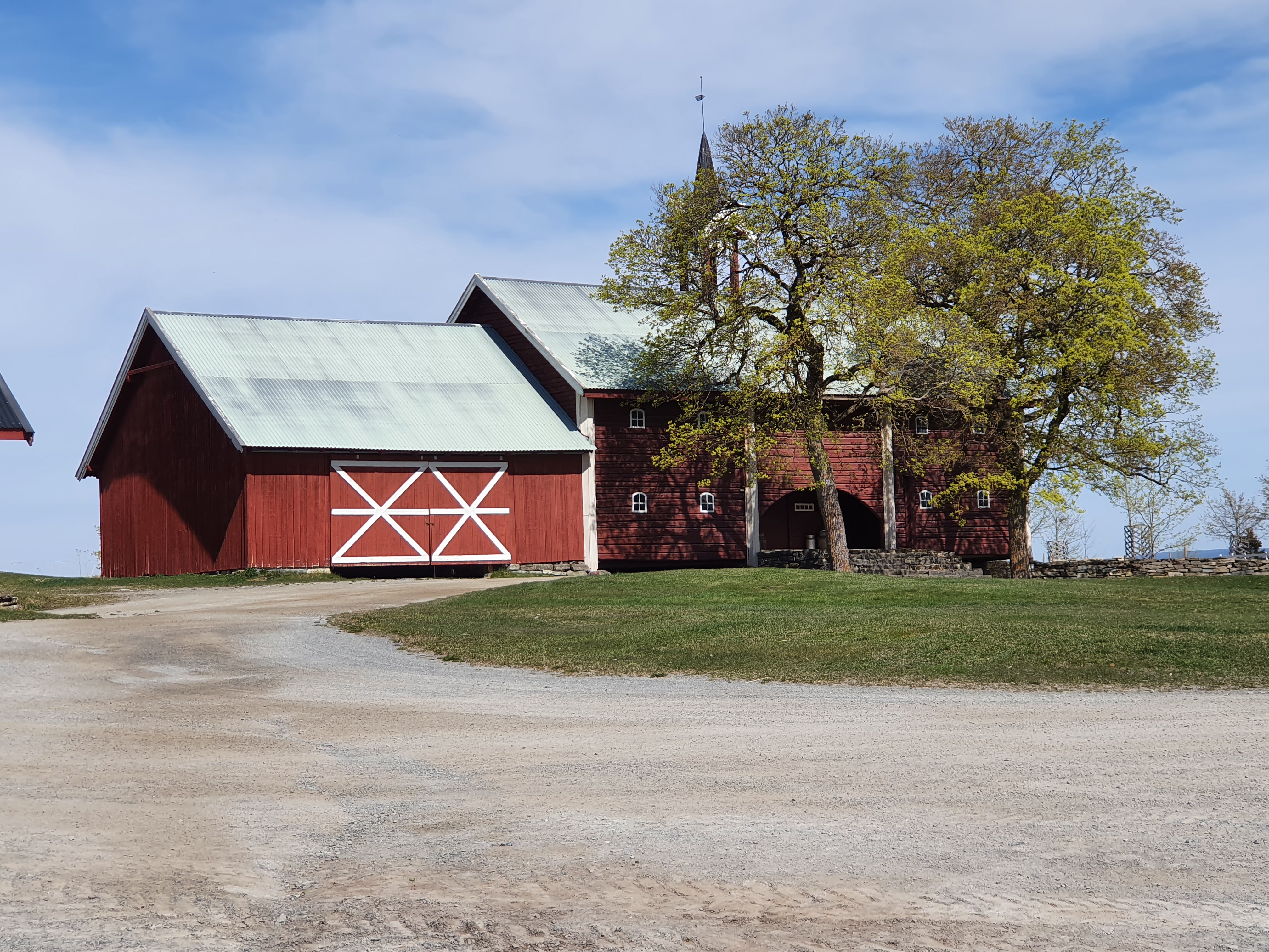 Kornvisning på Ousdal Gård 20. mai 2022