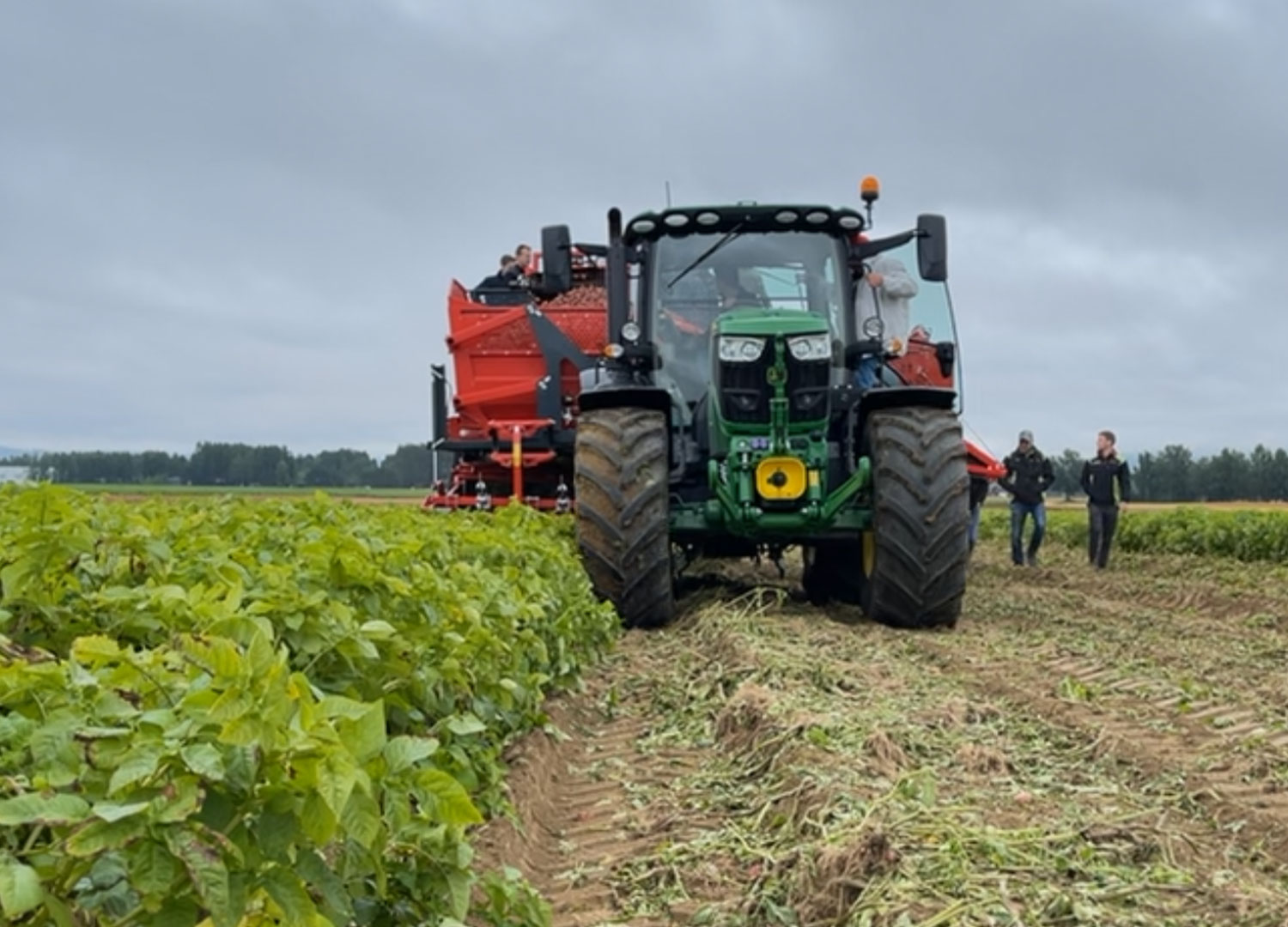 Dewulf var en het potet under Potato Scandinavia