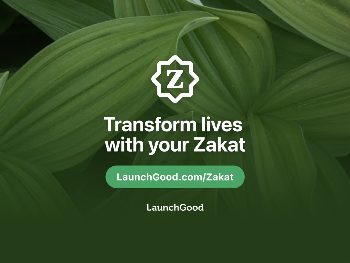 5 Things You Need to Know About Zakat