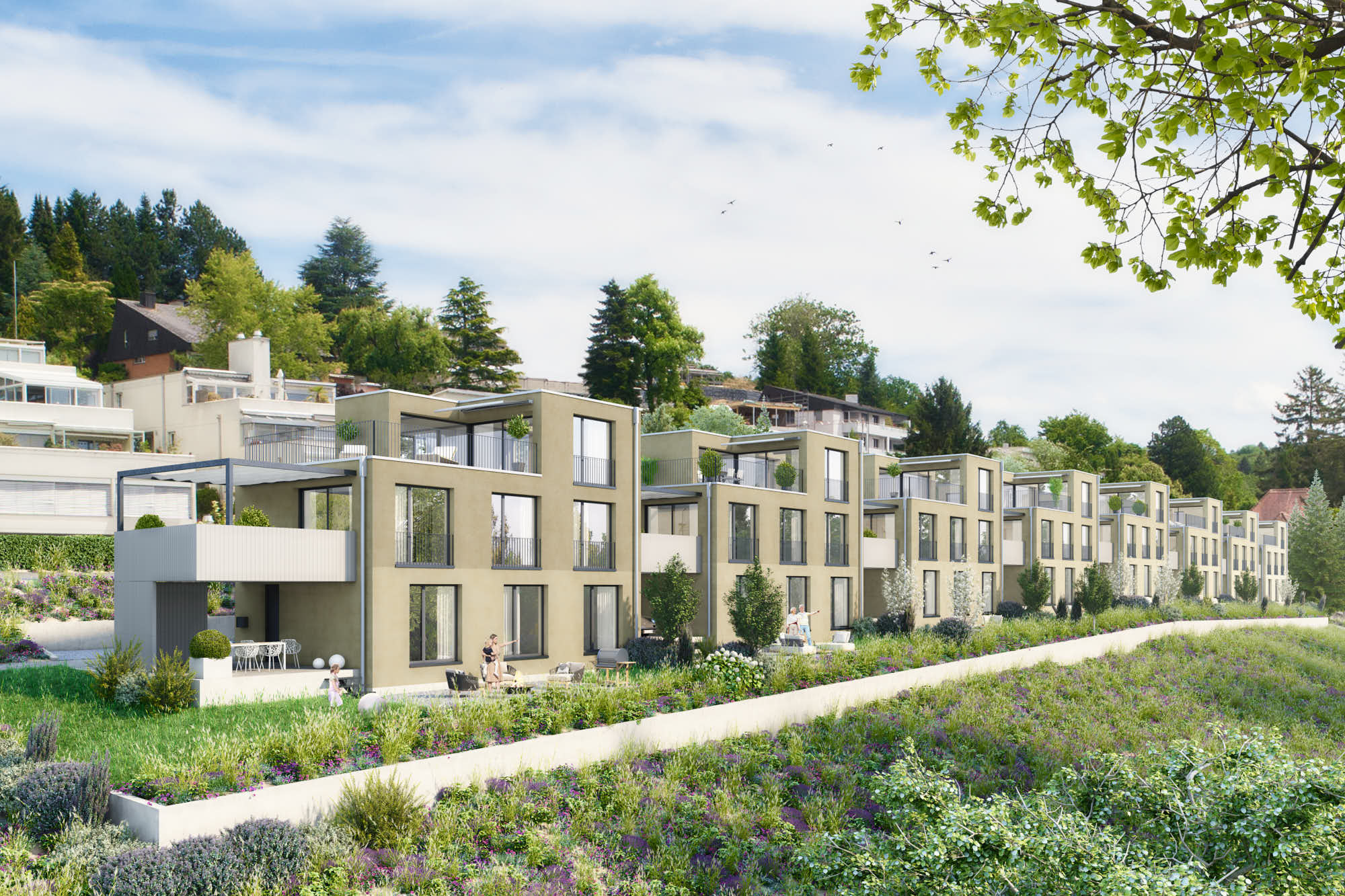 Überbauung Sonnenberg Reinach