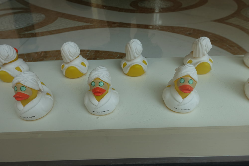 Ducks by the spa. 