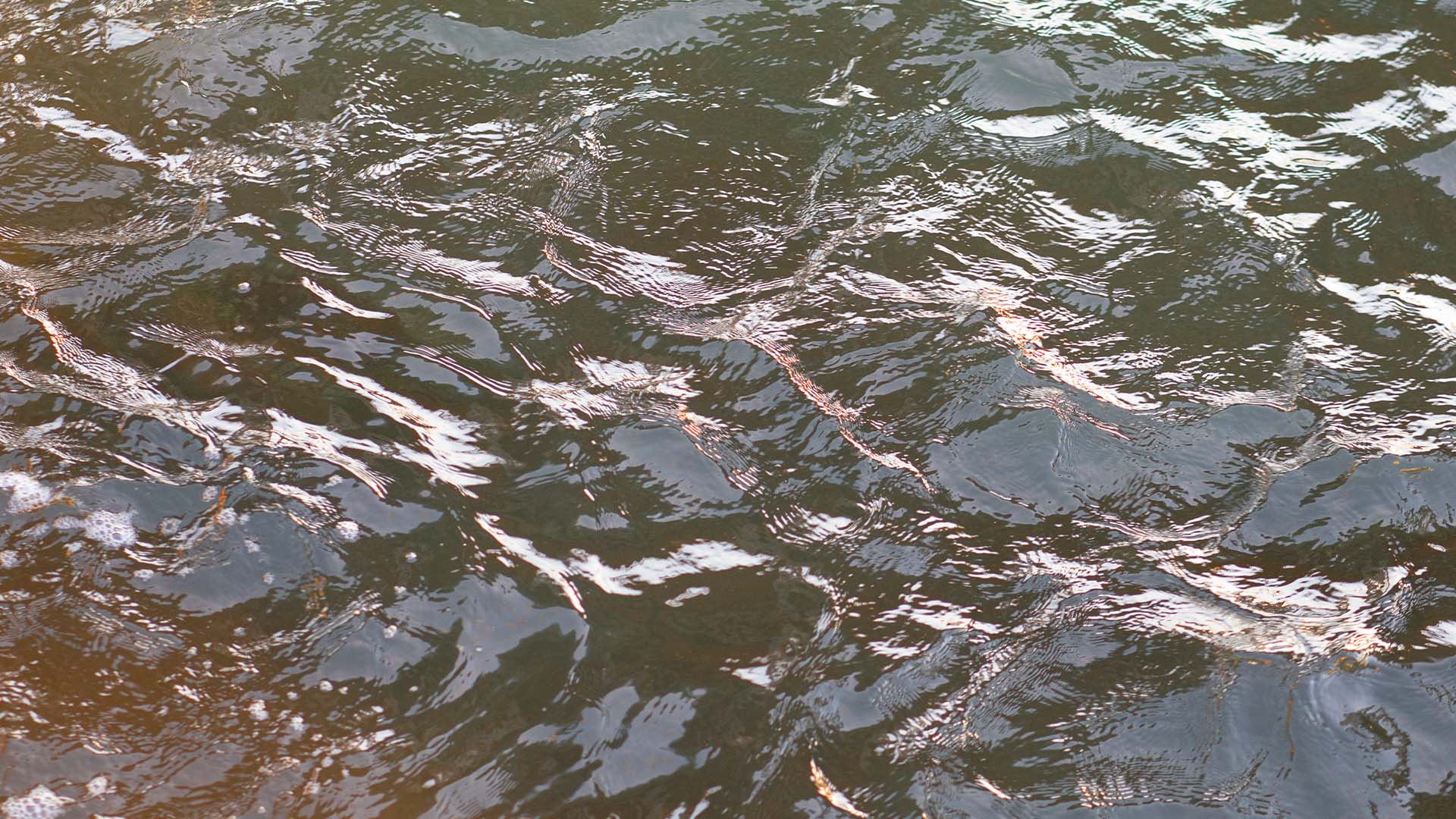 Machine visual data 2