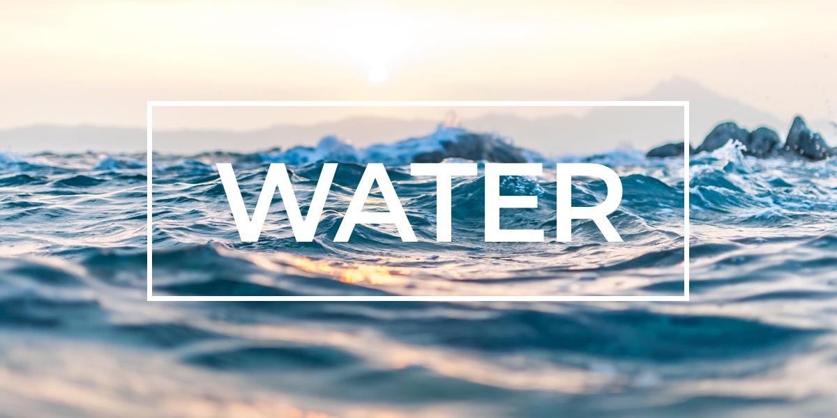 What's in your Water?