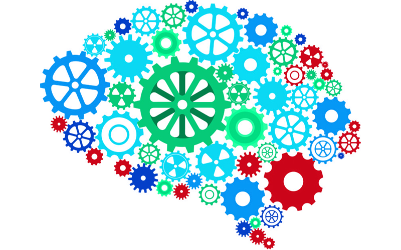 Begeleiden op de cognitieve ontwikkeling, hoe doe je dat?