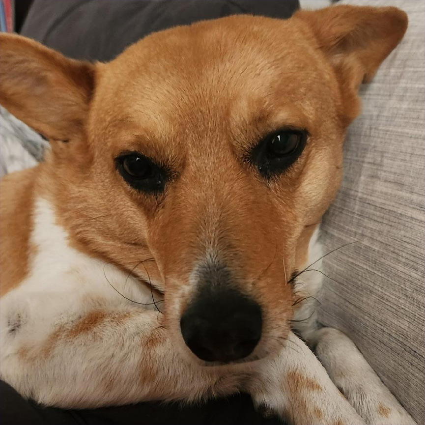 Team Member Personality Photo