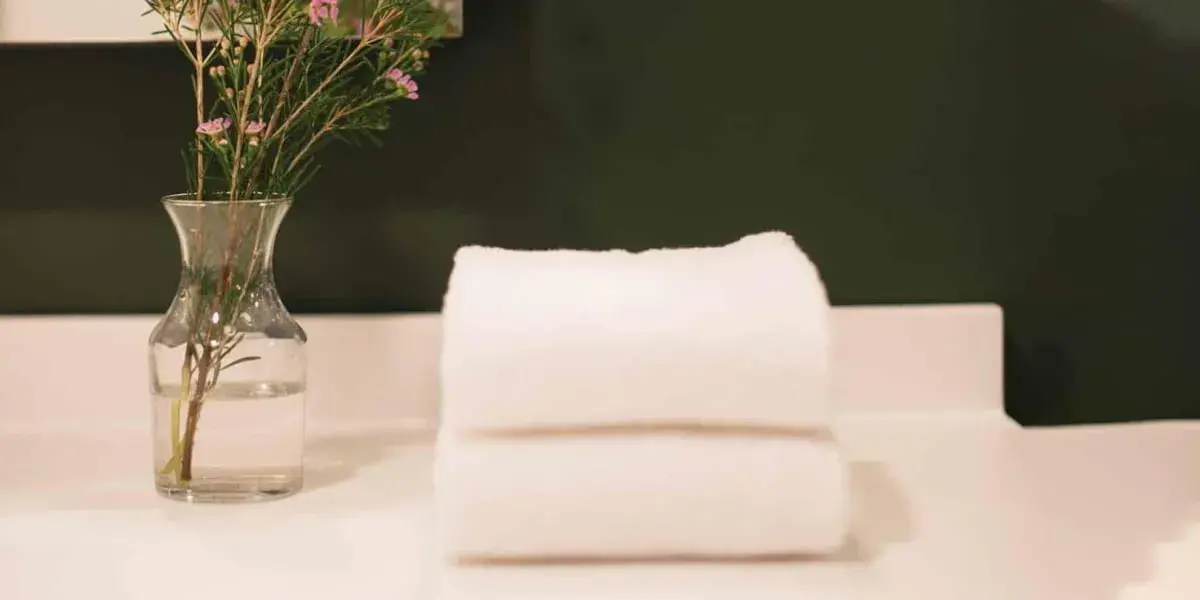 Stay Well Deluxe Two Queen Room Strip View Aria Resort and Casino