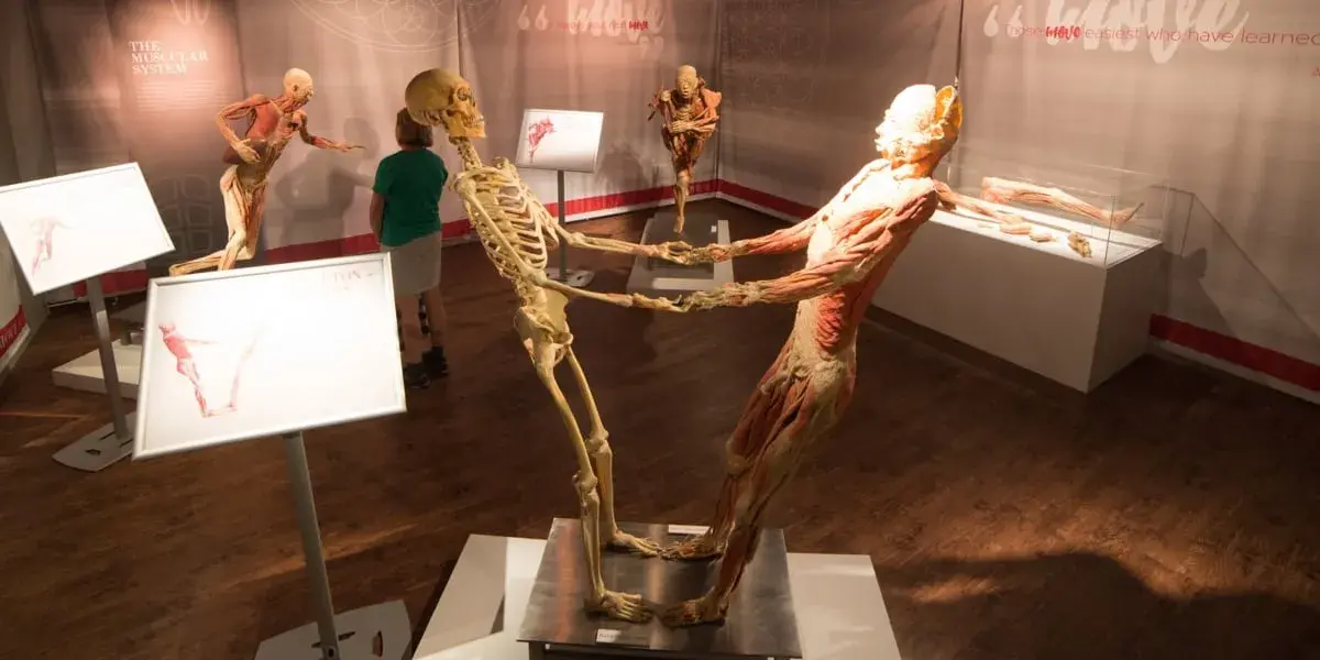 Horseshoe Las Vegas Hotel Photo Gallery