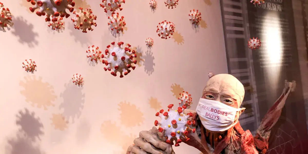 Real Bodies at Horseshoe Horseshoe Las Vegas Hotel