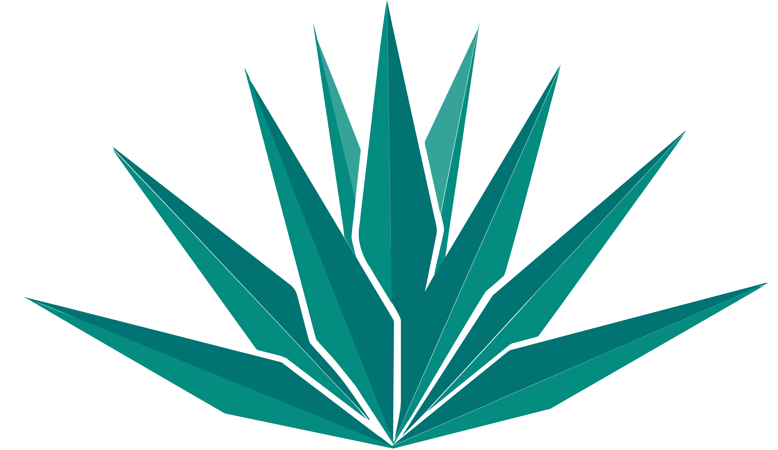 agave plant logo