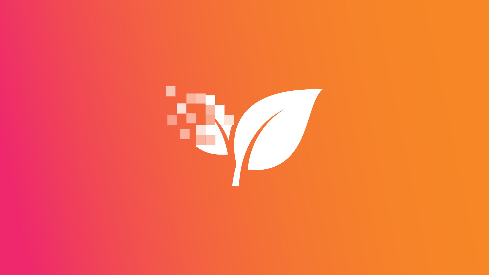 Air Quality Data
