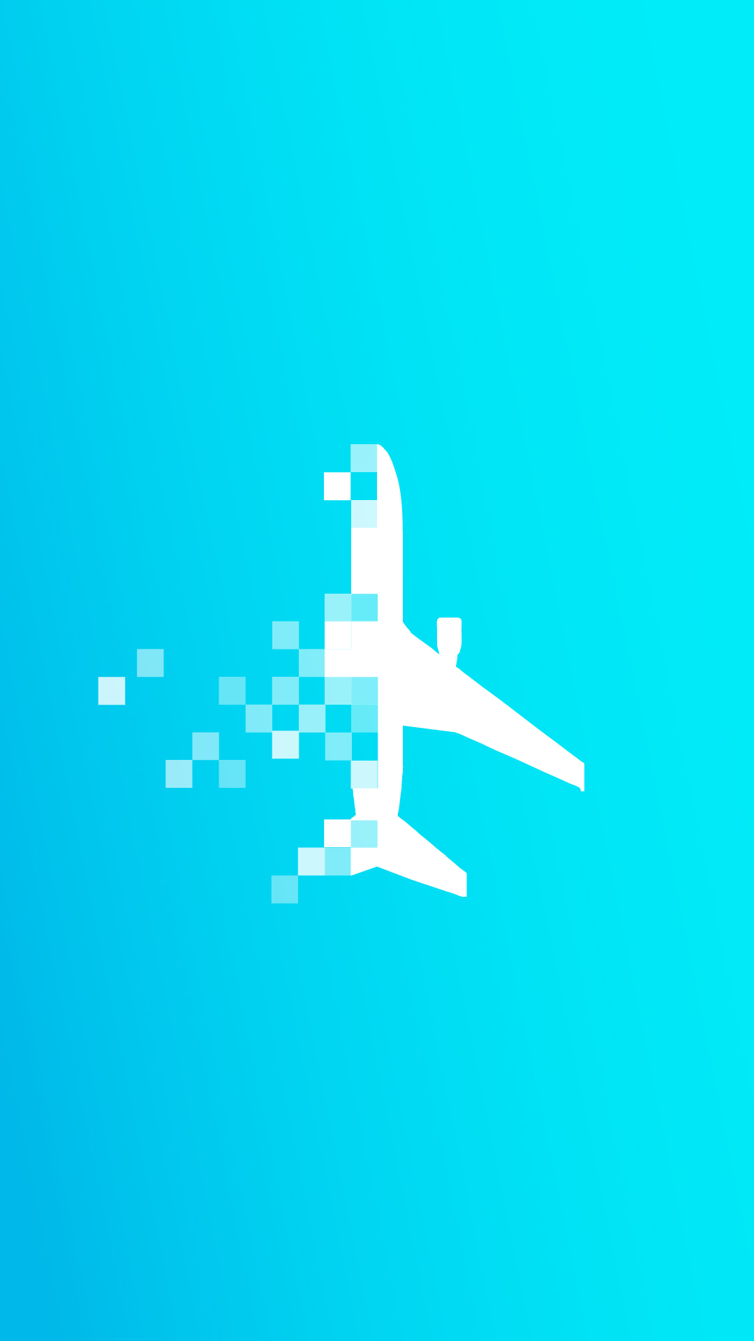 Flight Data
