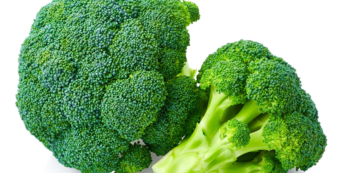 How Broccoli Fights Cancer Restore Hyper Wellness