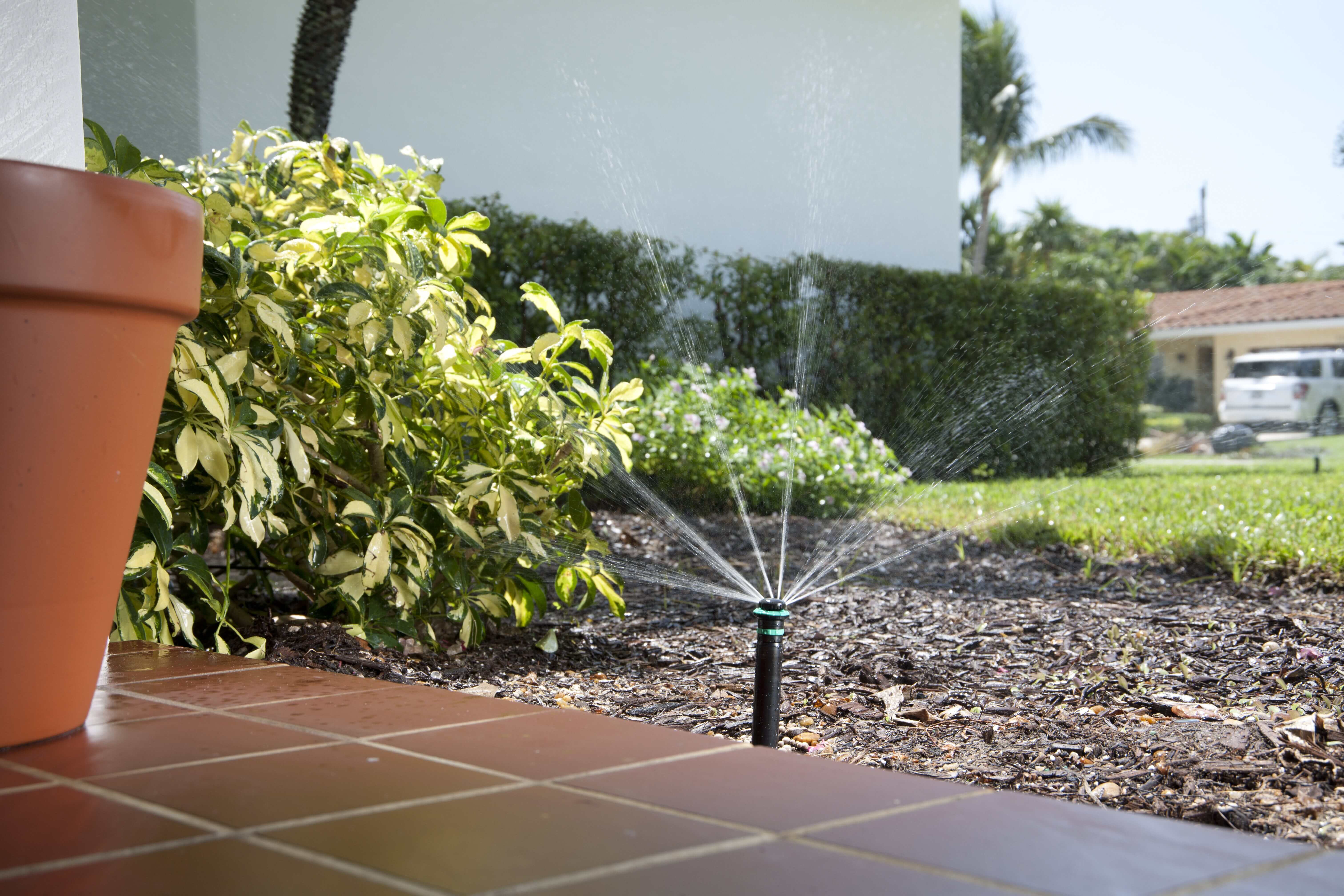 DIY Sprinkler System Troubleshooting vs. Professional Repair What You