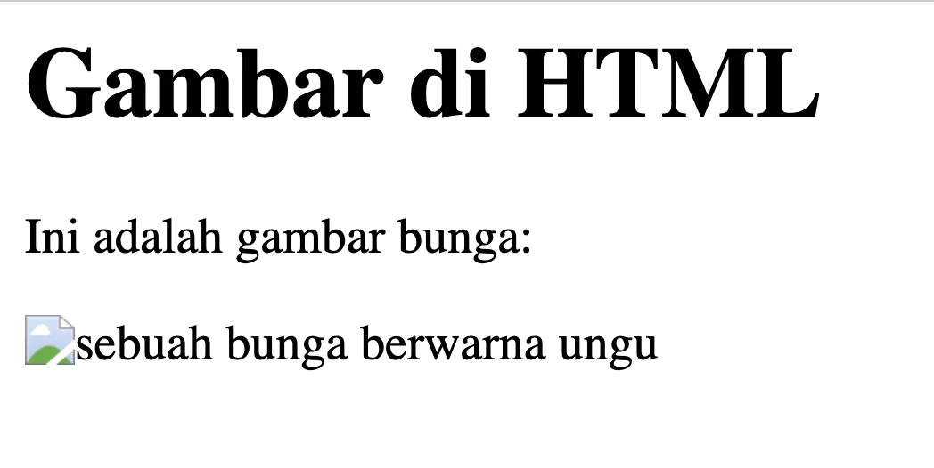 HTML Image: Cara Menambahkan Gambar di HTML 2023 | RevoU