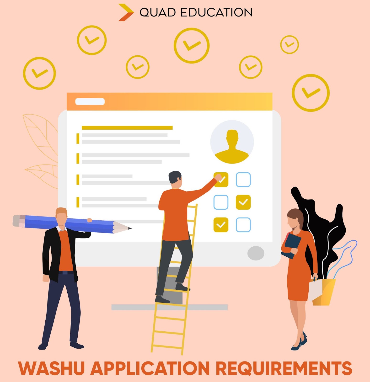 Washu Transfer Acceptance Rate - fkpslqj