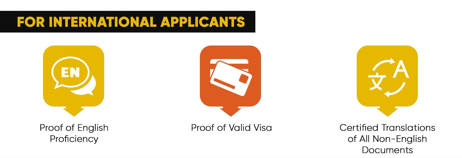 How to Get Into WashU Admission Requirements + How to Apply