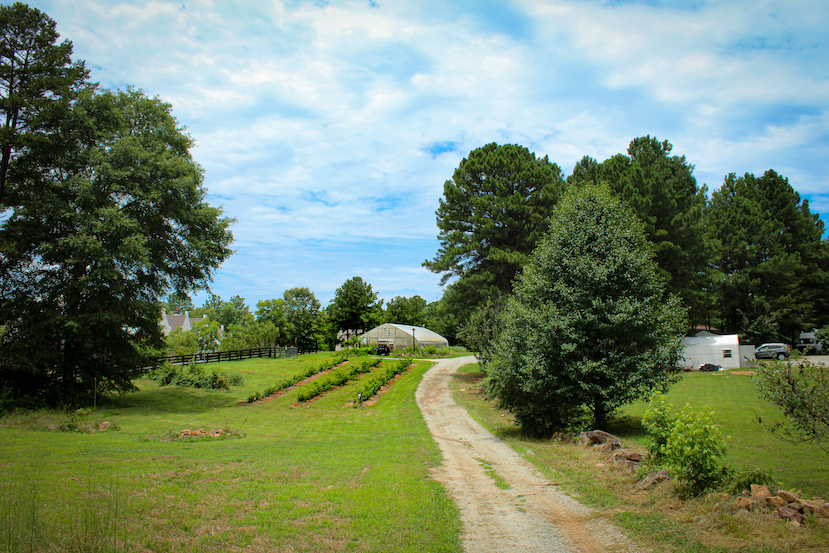 Life at Serenbe You Are What You Farm