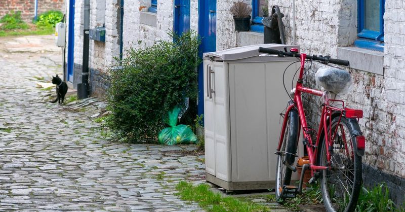 best bike to ride around neighborhood
