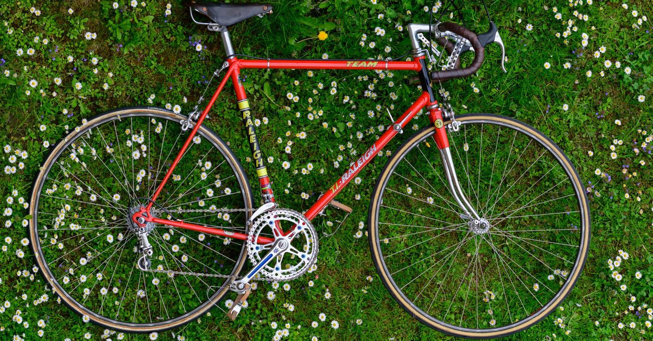 Best Raleigh Bikes PedalChef