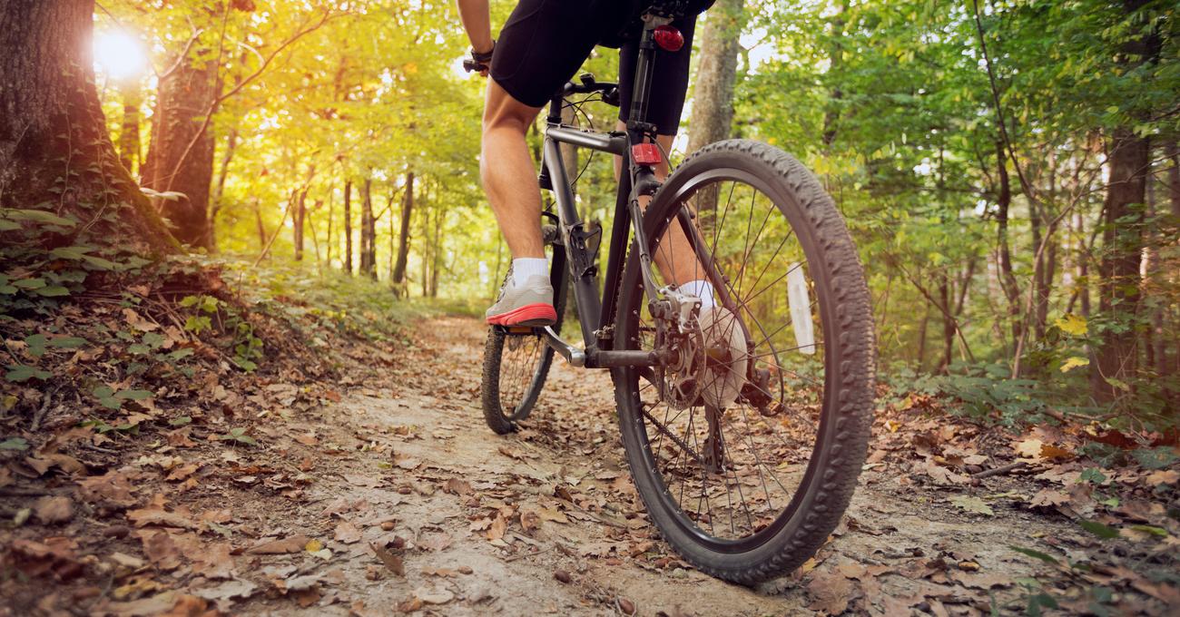 bike-weight-limit-how-much-can-one-hold-pedalchef