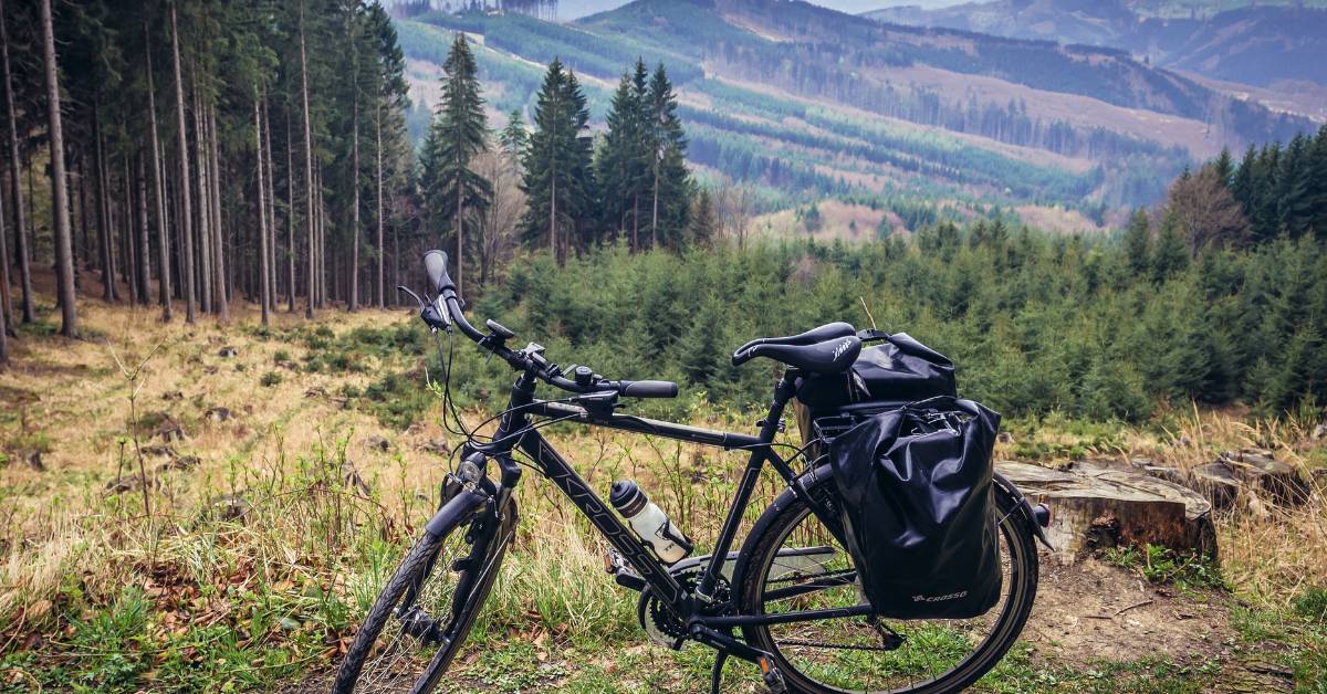 The Best Type of Bicycle Ride for Every Zodiac Sign | PedalChef