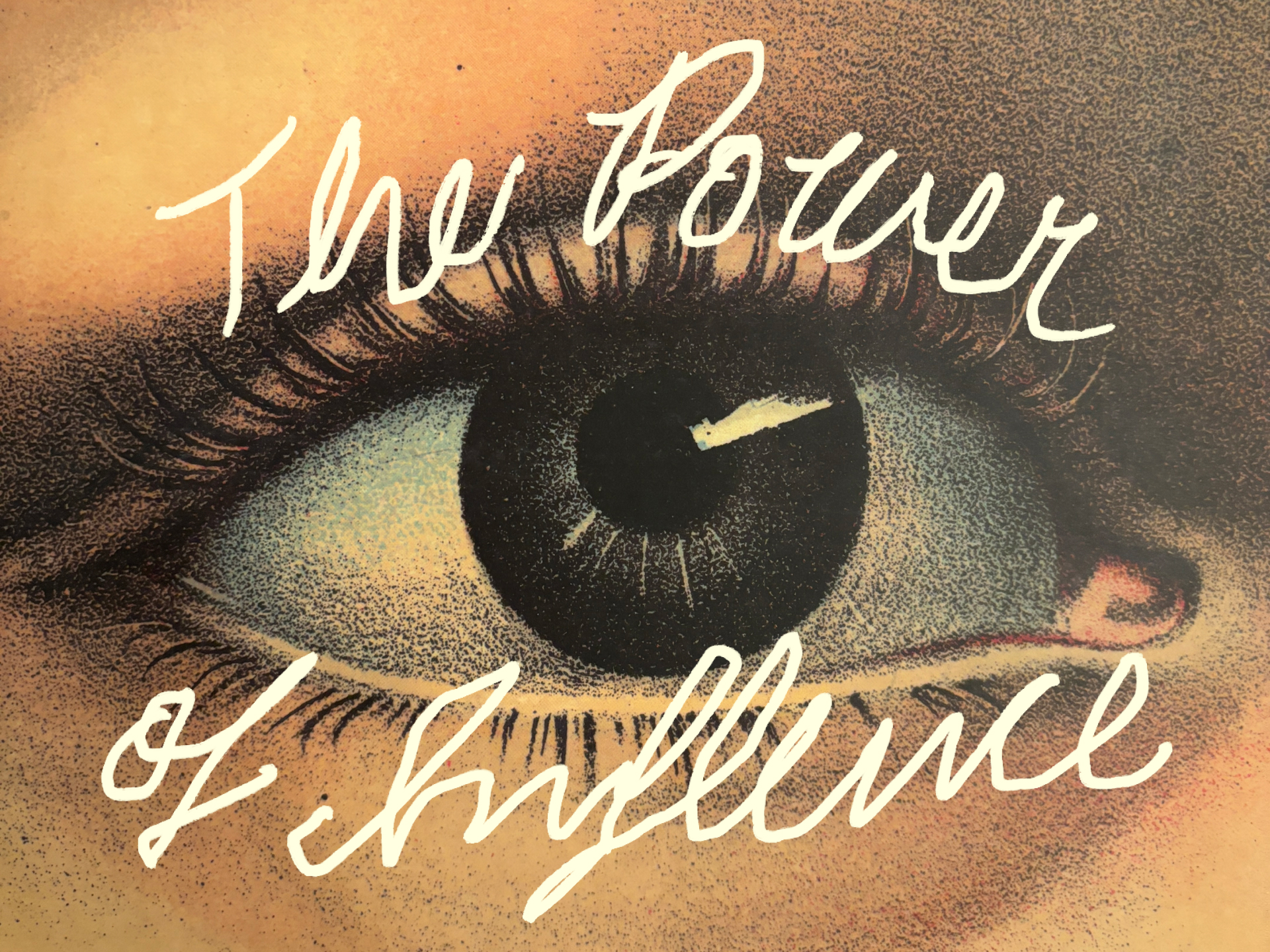 fohr influencer marketing platform