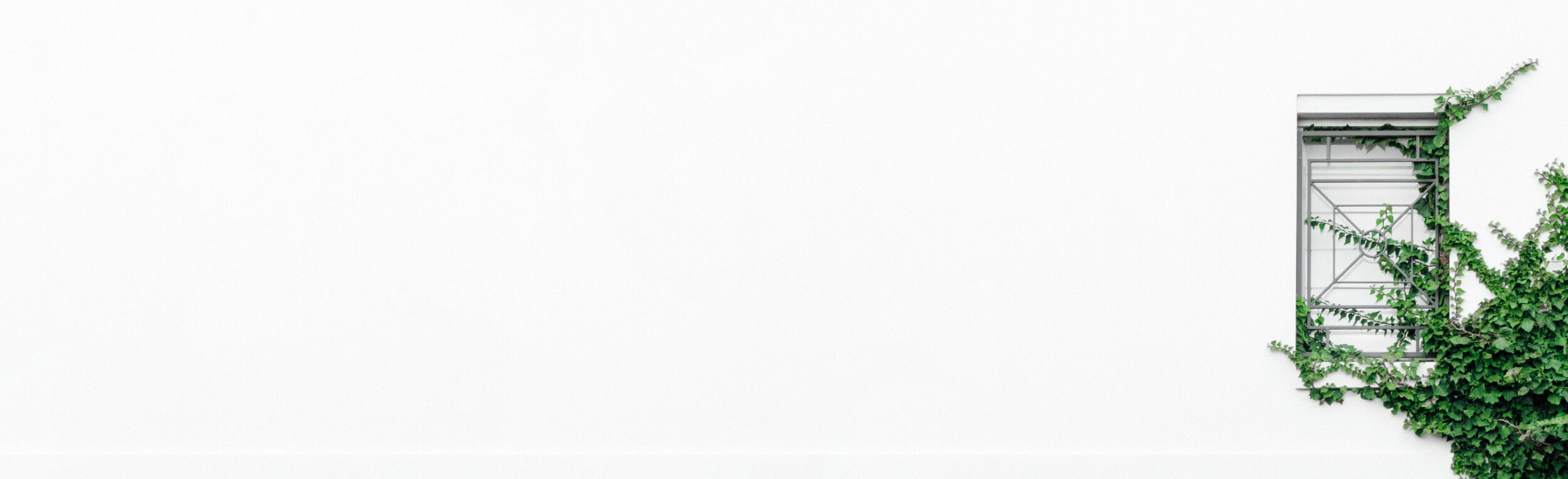 Aetna Houston Center for Christian Counseling