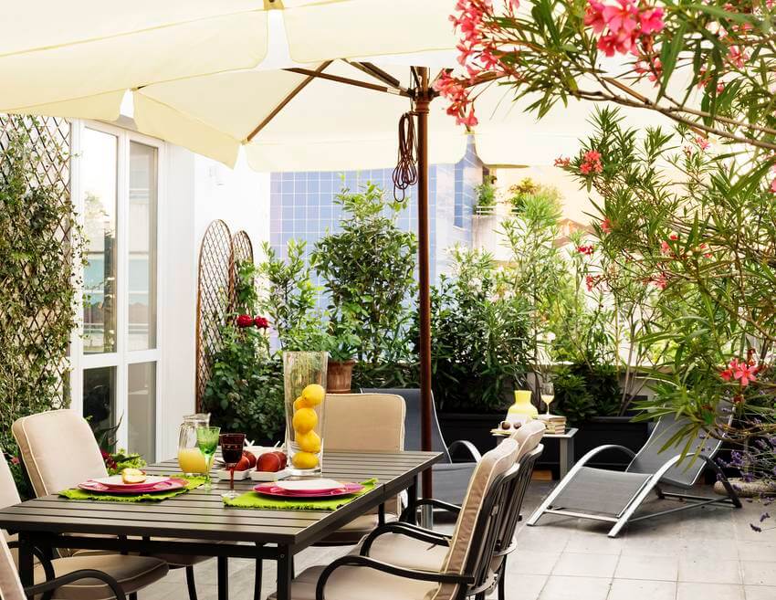jardin avec de la verdure