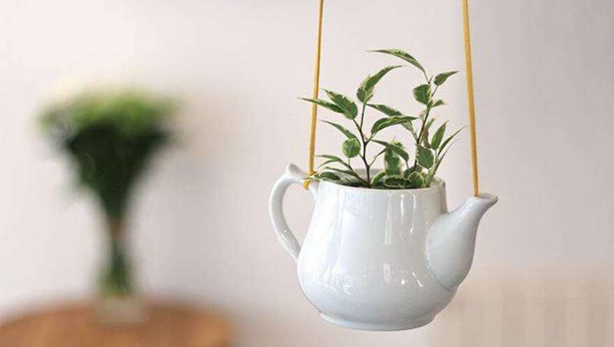 suspensions pour vos plantes