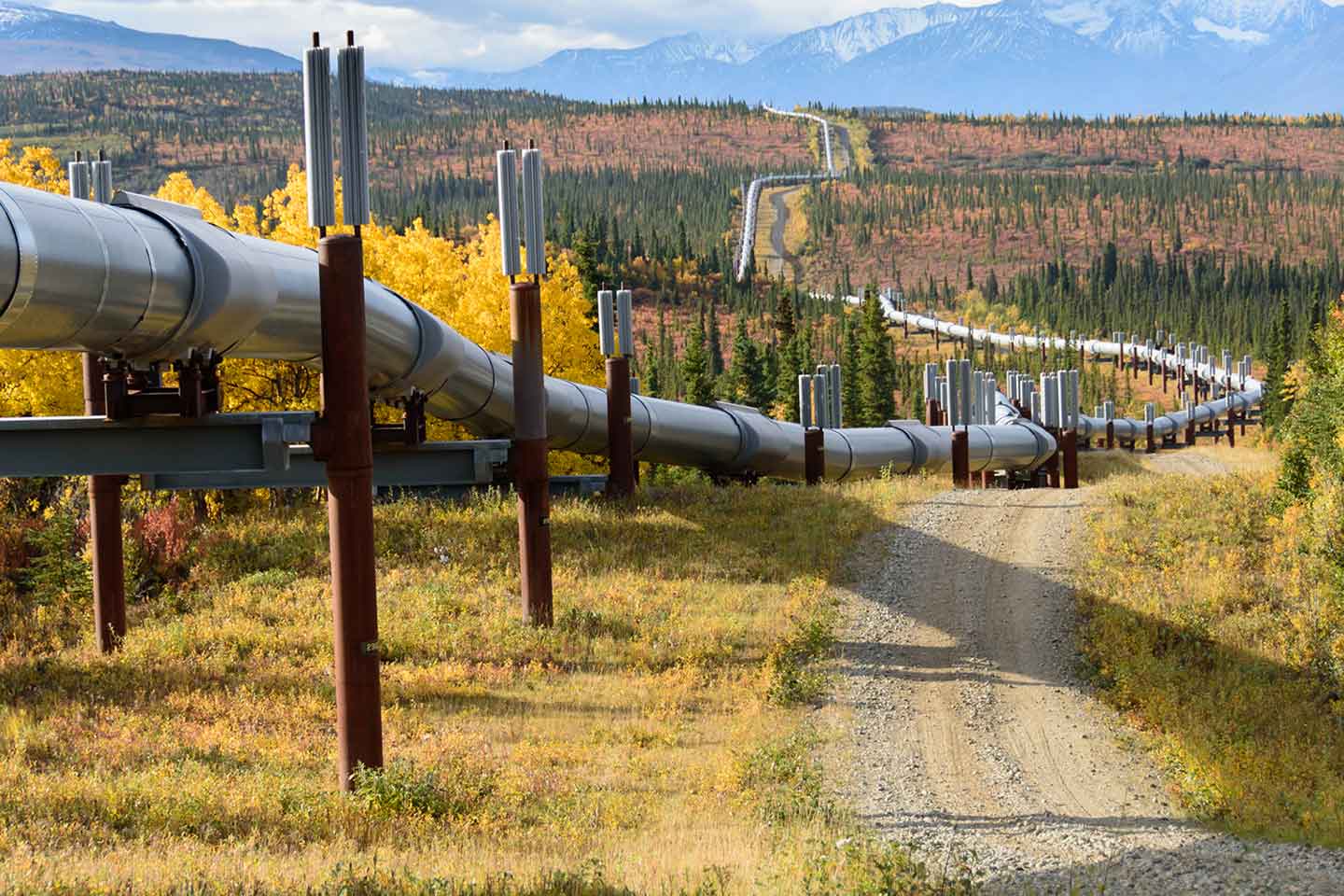 Pipelines - PPC