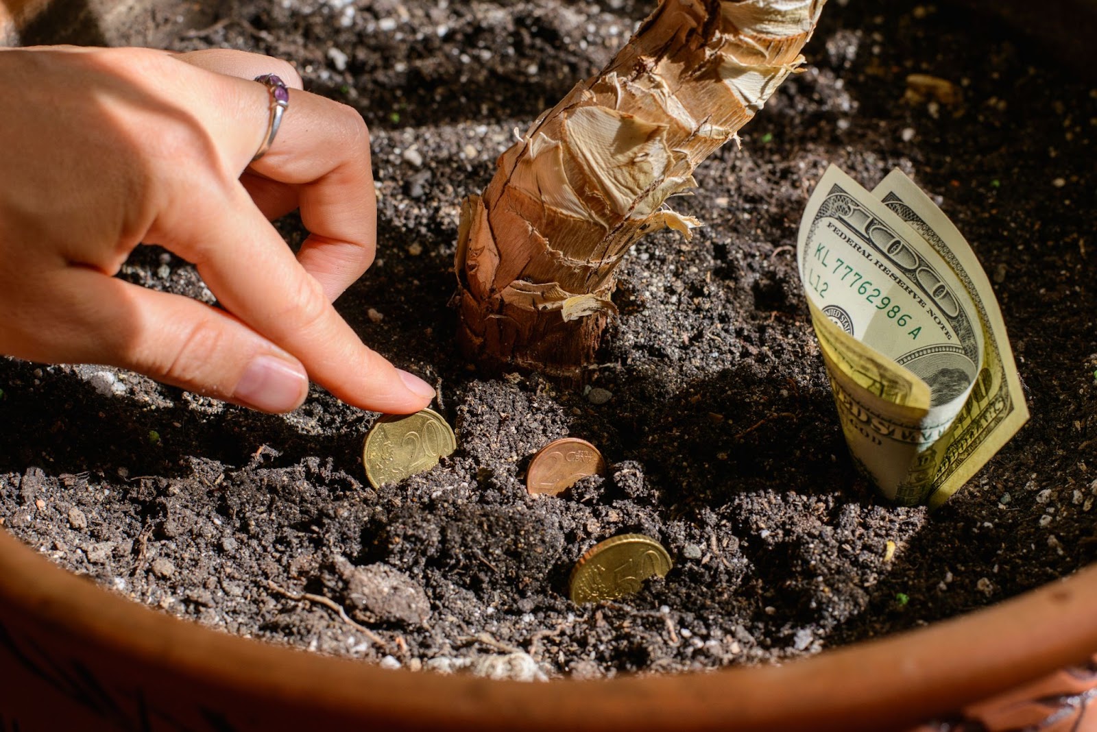 Profit and Loss Statement: Template & Guide