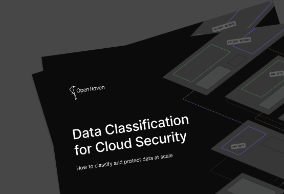 Data Classification for Cloud Security