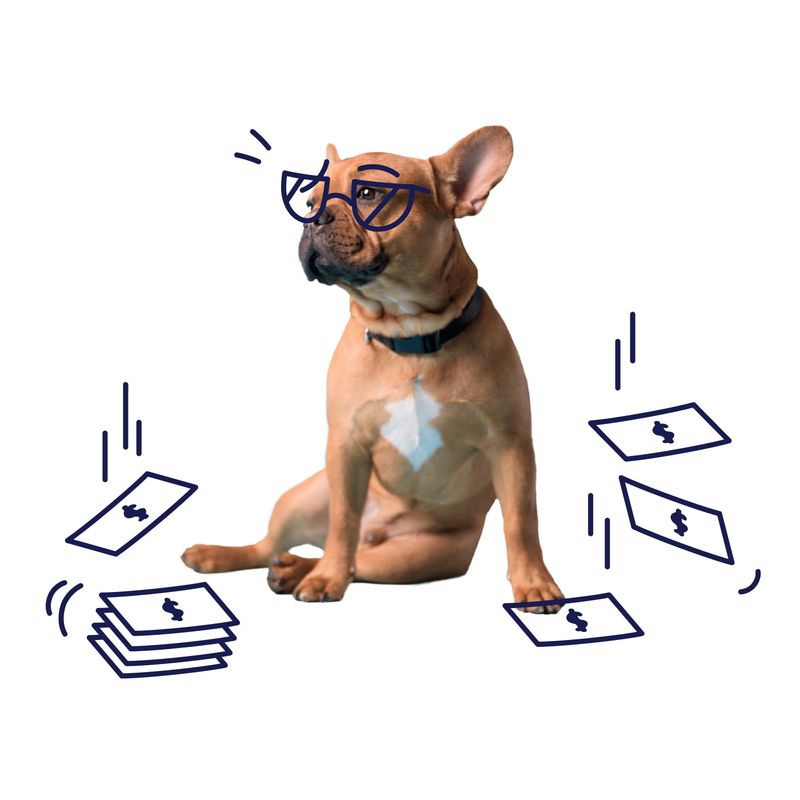 Pet Insurance Cost in Canada Fetch Pet Insurance