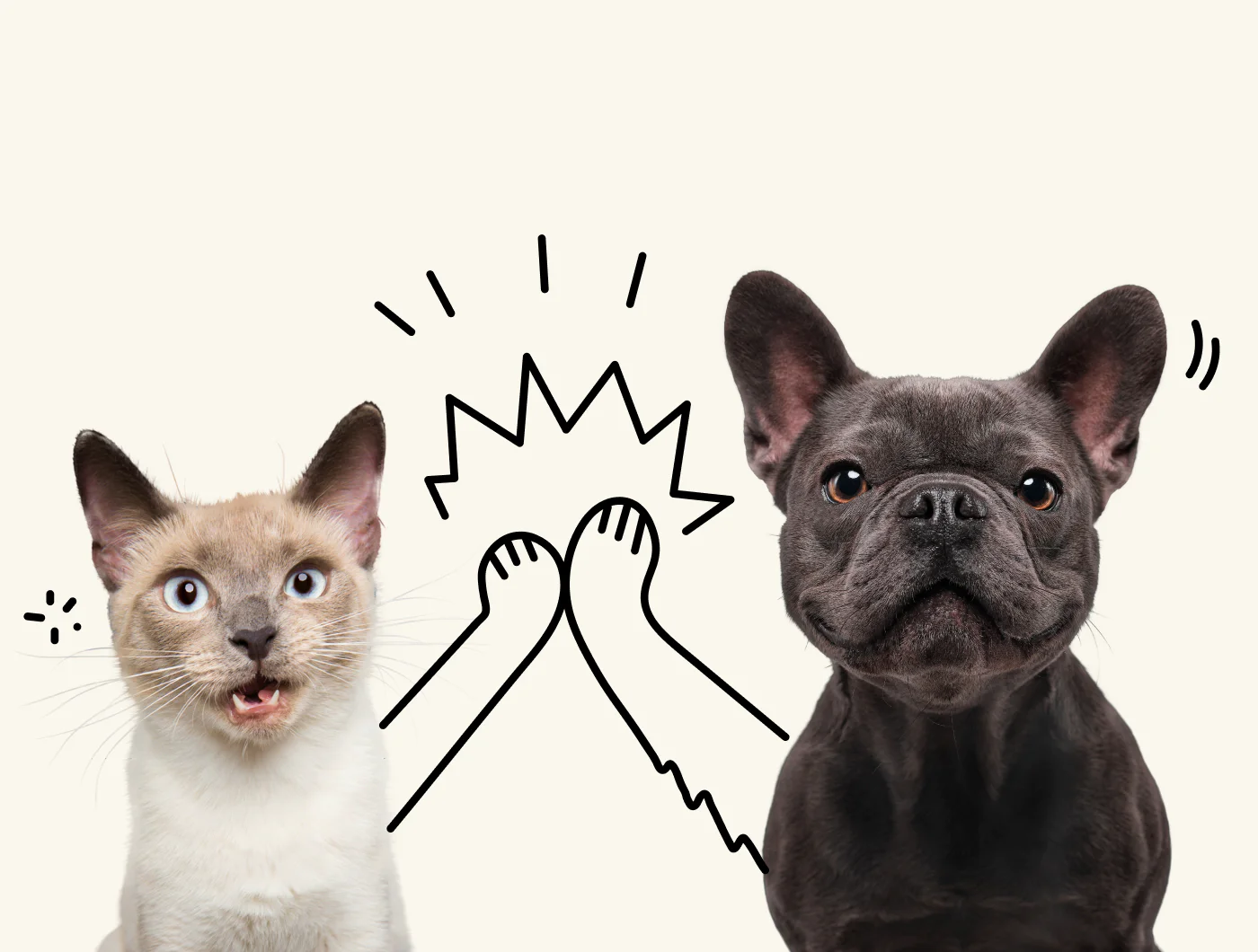 Cat and dog high five doodle