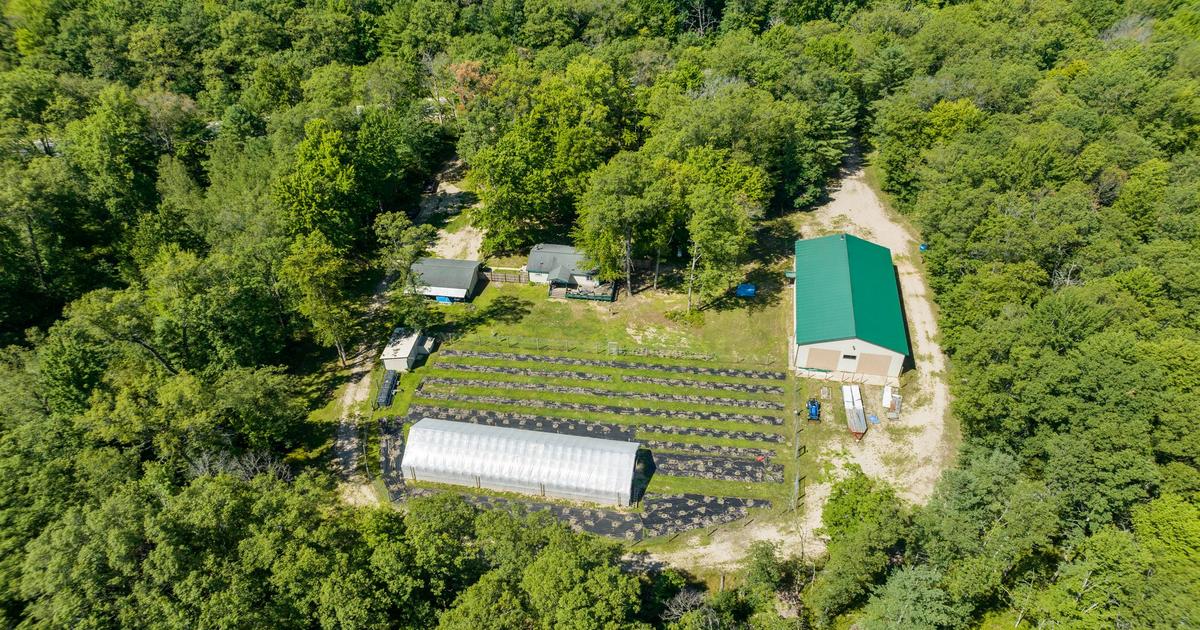 Michigan Green Zoned Data Municipalities, Licensees