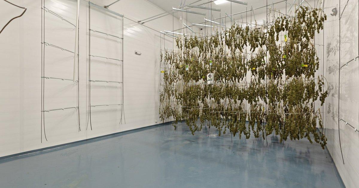 Commercial Property For Sale 81 Enterprise Dr, Vassar MI 48768