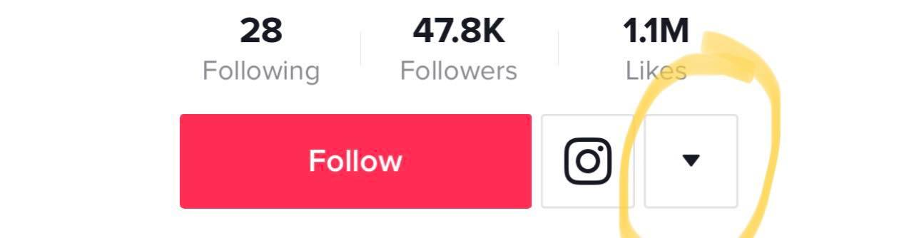 The 7 Steps to Mastering TikTok Influencer Marketing | Triple Whale