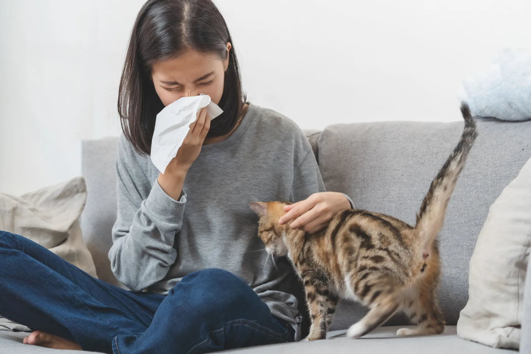 What You Should Know When There Are Signs of Cat Allergies Curex