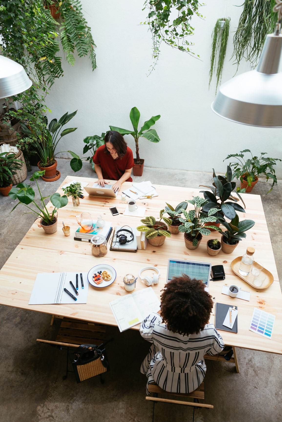 Photo of two people working at a table, surrounded by plants