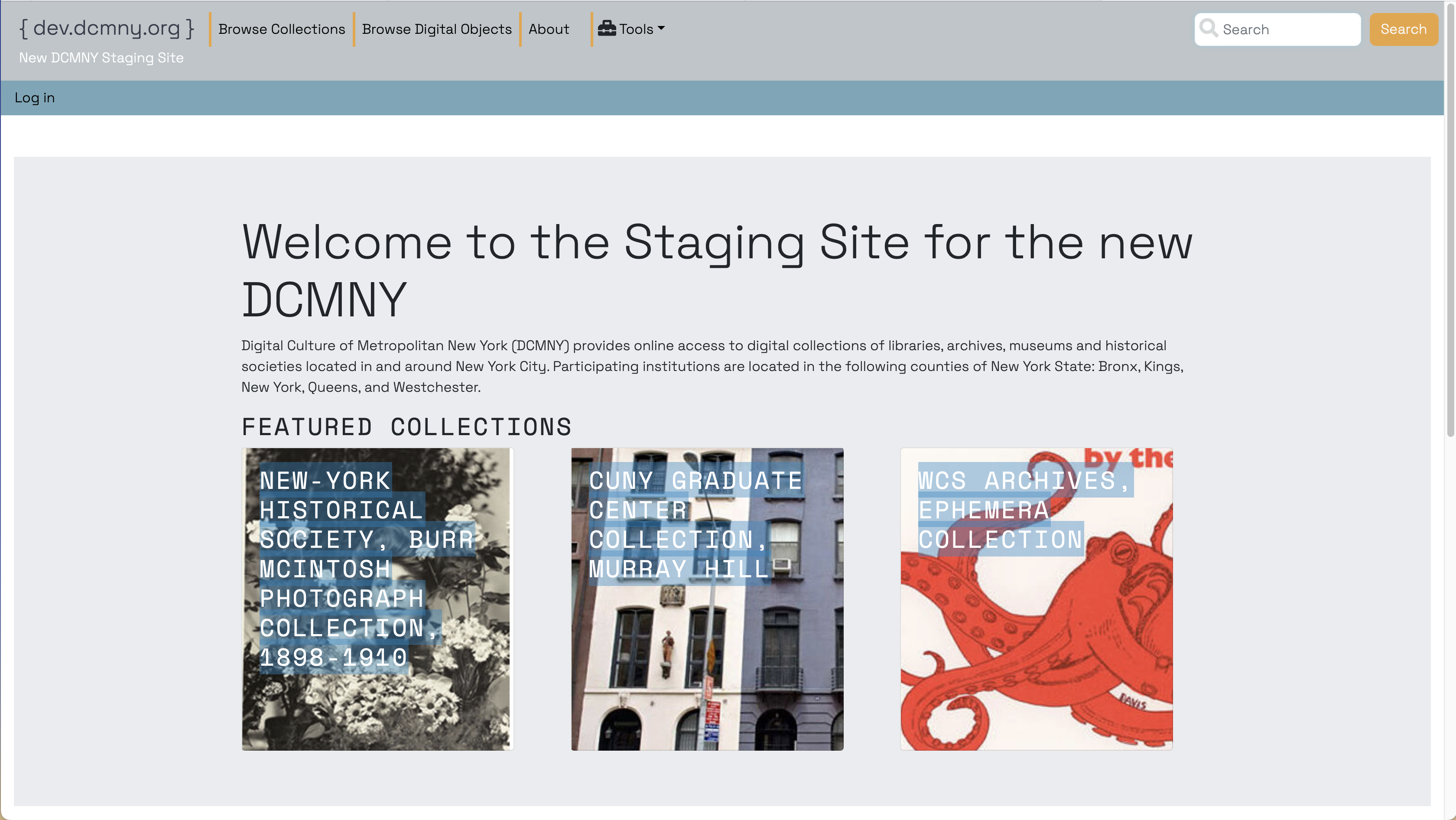 original website appearance